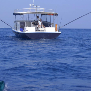 Anantara Dhigu Maldives Resort Maldives Honeymoon Packages Big Game Fishing Trip