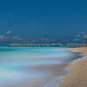 Baglioni Resort Maldives Maldives Honeymoon Packages Sea Lumicense