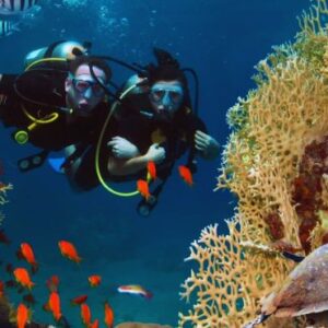 Waldorf Astoria Maldives Ithaafushi Maldives Honeymoon Packages Scuba Diving