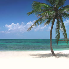 honeymoons in Caribbean