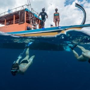 Ayada Maldives Maldives Honeymoon Packages Snorkelling3