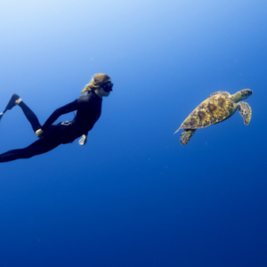 Dusit Thani Maldives Maldives Honeymoon Packages Underwater