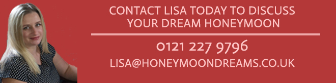 lisa banner