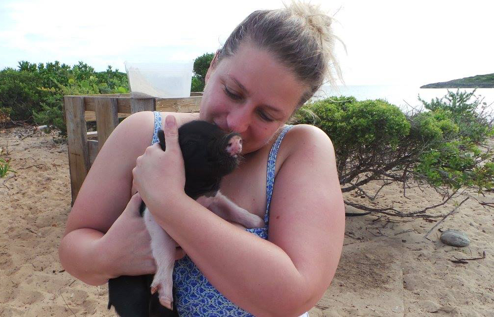 FAM trip to the Bahamas at Sandals Resorts - Pigs