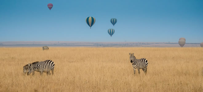 kenya-safari-honeymoon