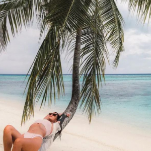 Angsana Velavaru Maldives Honeymoon Packages Palm Tree