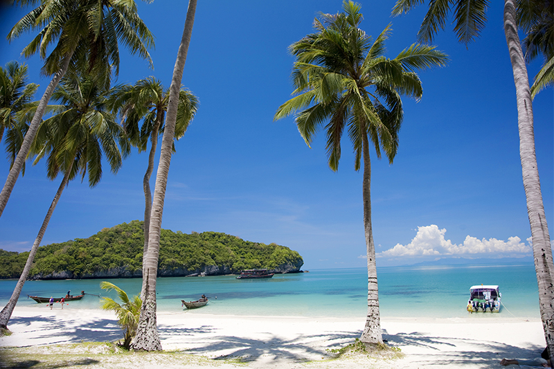 Best Islands to visit in Thailand | Honeymoon Dreams
