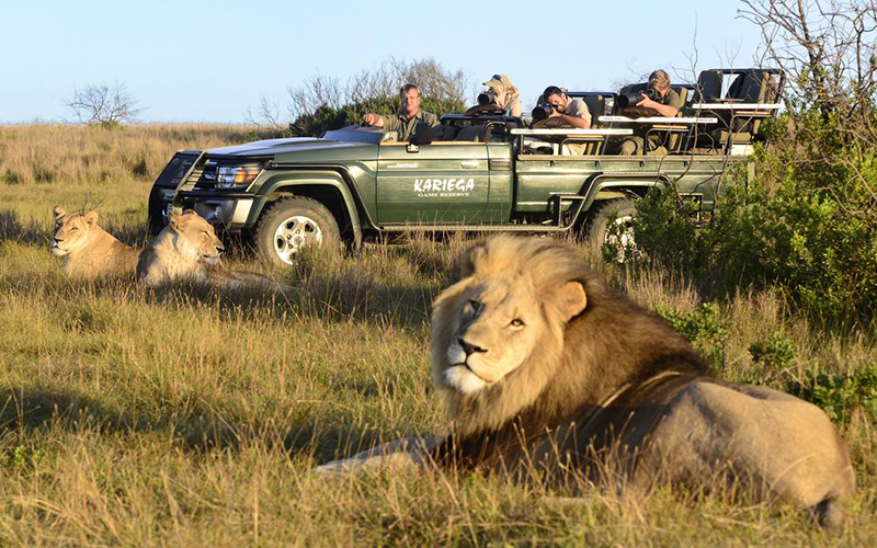 The Best Adult Only Resorts Kariega Game Reserve, South Africa