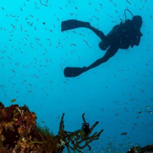 Amilla Fushi Maldives Honeymoon Packages Scuba Diving