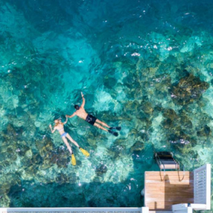 Amilla Fushi Maldives Honeymoon Packages Snorkelling