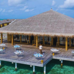 Cocoon Maldives Maldives Honeymoon Packages Manta Restaurant