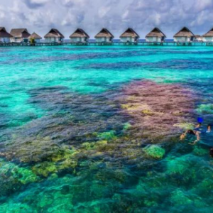 Centara Grand Island Resort And Spa Maldives Maldives Honeymoon Packages Snorkelling