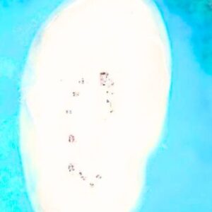 You & Me By Cocoon Maldives Maldives Honeymoon Packages Aerial View Of Sandbank