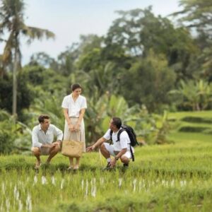 Maya Ubud Resort & Spa Bali Honeymoon Packages Rice Paddy Walk