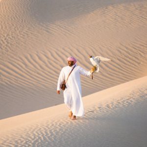 Abu Dubai Honeymoon Packages Jumeirah Al Wathba Falconry Experience