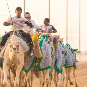 Abu Dubai Honeymoon Packages Jumeirah Al Wathba Tour Activity1